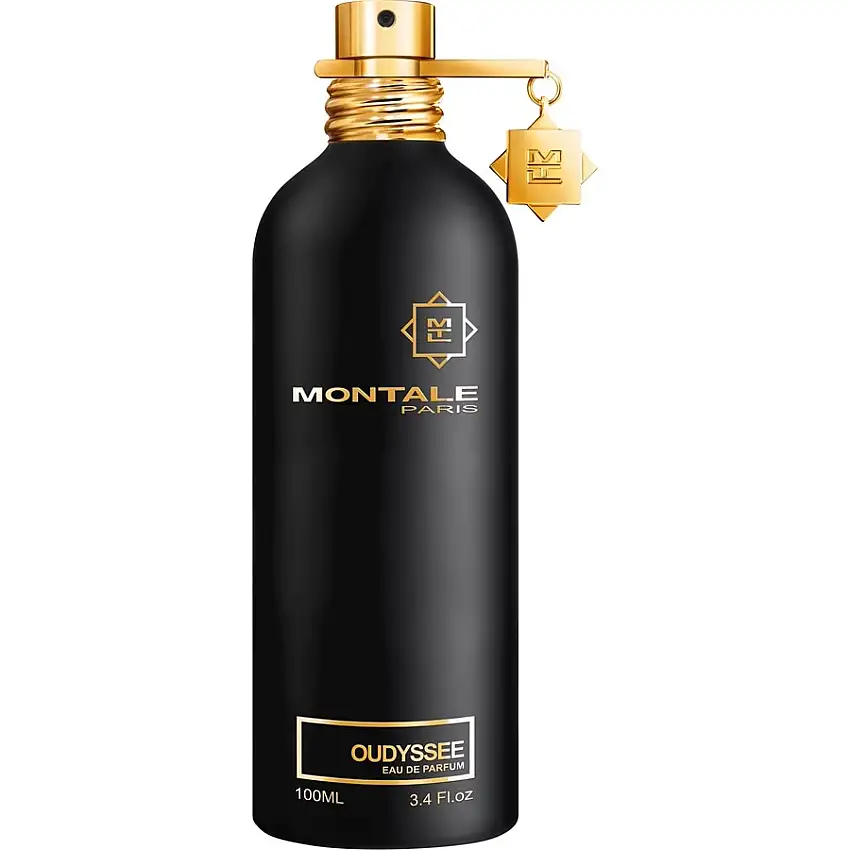 Montale Sea Eau de Parfum Spray Oudyssee 100 ml