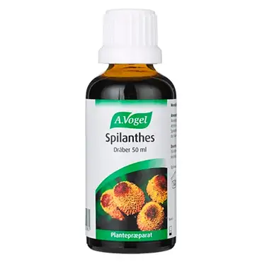 A. Vogel spilanthes