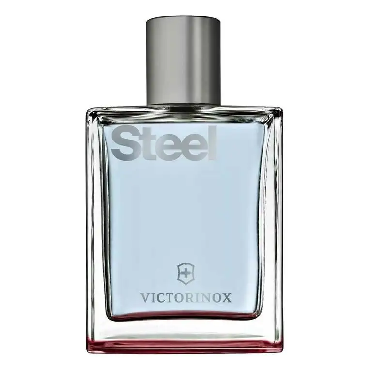 Victorinox Swiss Army Steel Eau de toilette 100 ml