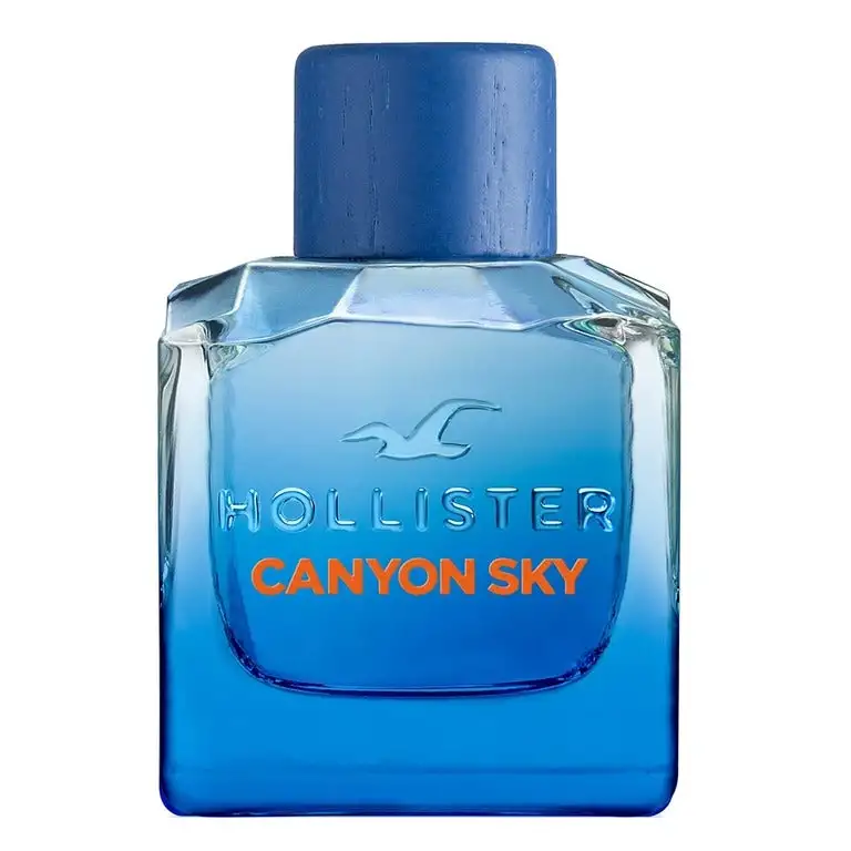 Hollister Canyon Sky For Him Eau de toilette 100 ml
