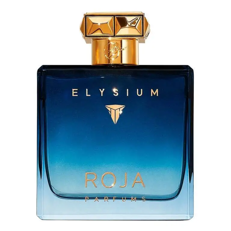 Roja Parfums Elysium Pour Homme Parfum Cologne Eau de parfum 100 ml