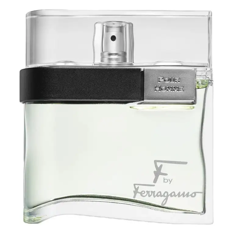 Salvatore Ferragamo F by Ferragamo Pour Homme Eau de toilette 100 ml