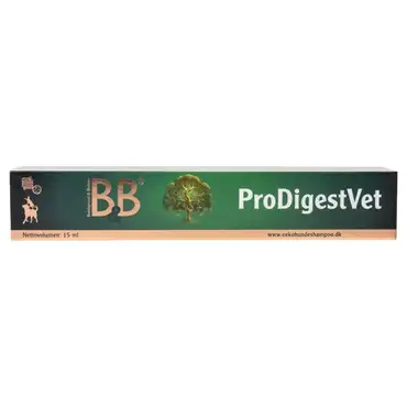 B&B prodigestvet