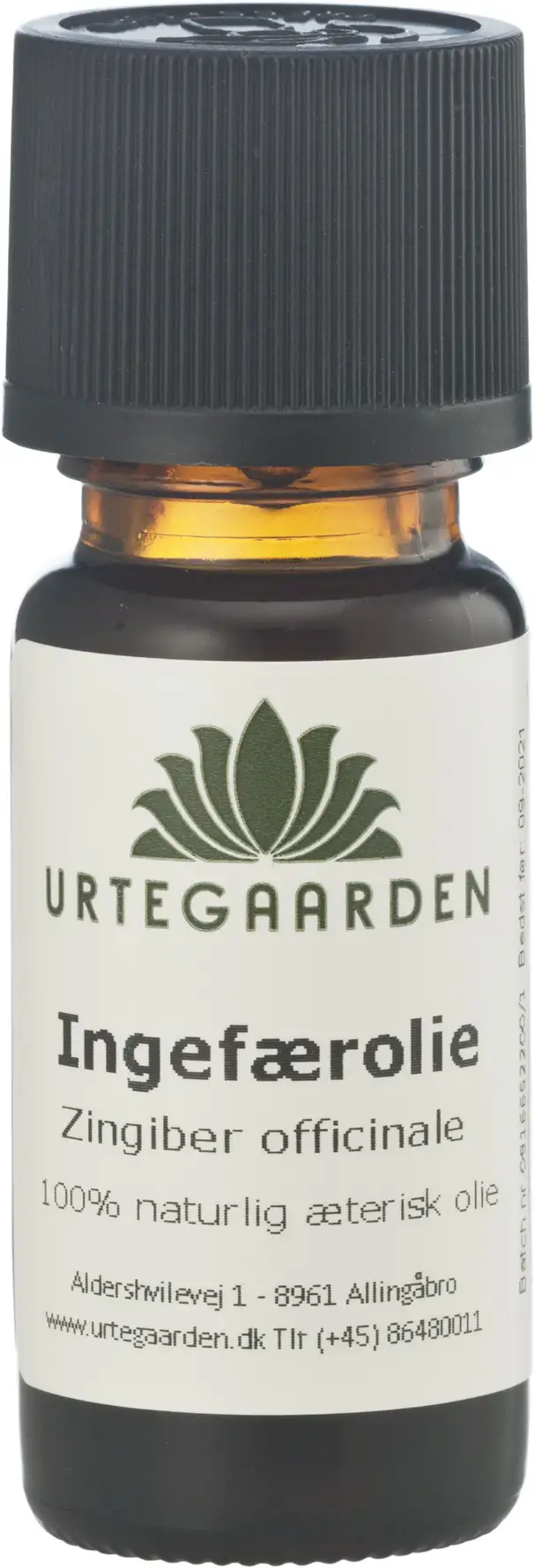 Urtegaarden Ingefærolie 10 ml