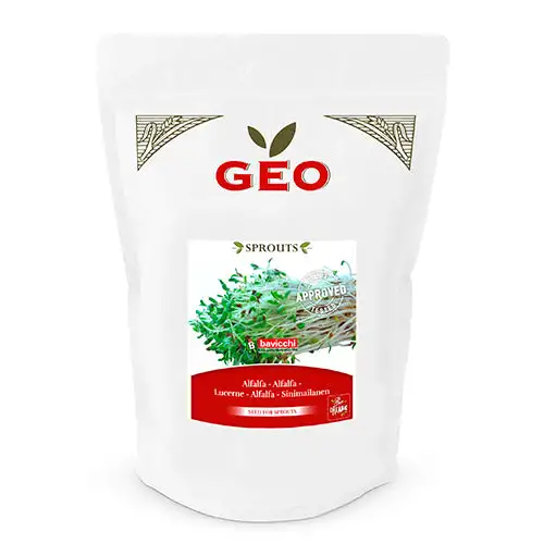 Lucernefrø Til Spiring Økologisk | 500 gr