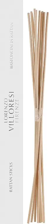 Lorenzo Villoresi 15955038